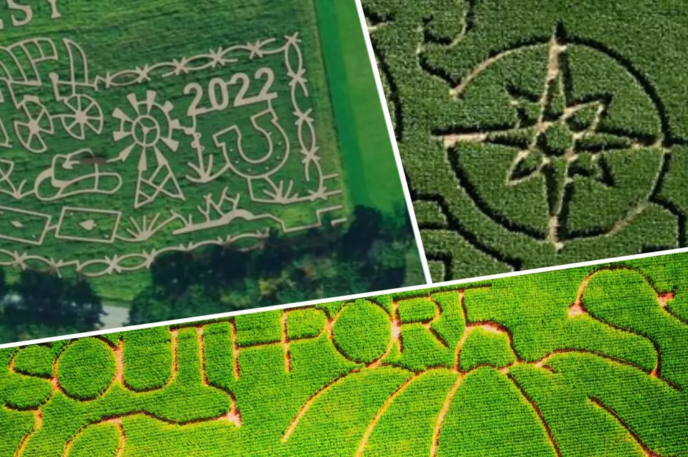 Southern Tier Corn Mazes Unveil Their 2022 Designs To Get Lost In