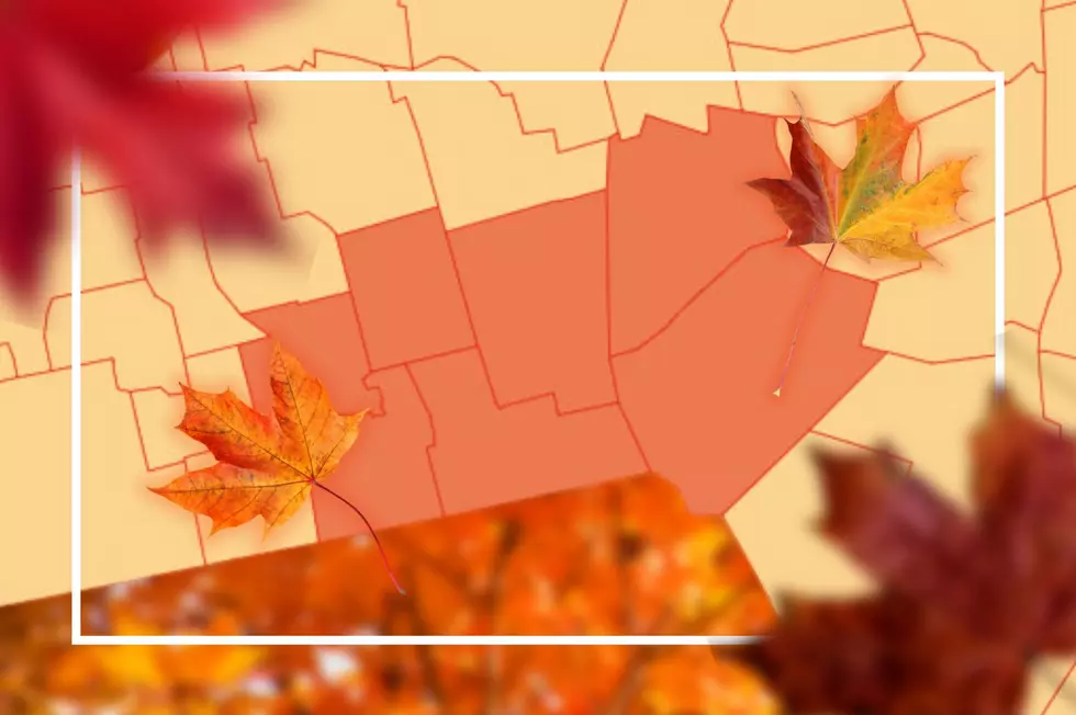 GALLERY: When Southern Tier Trees Will See Peak Colors This Fall