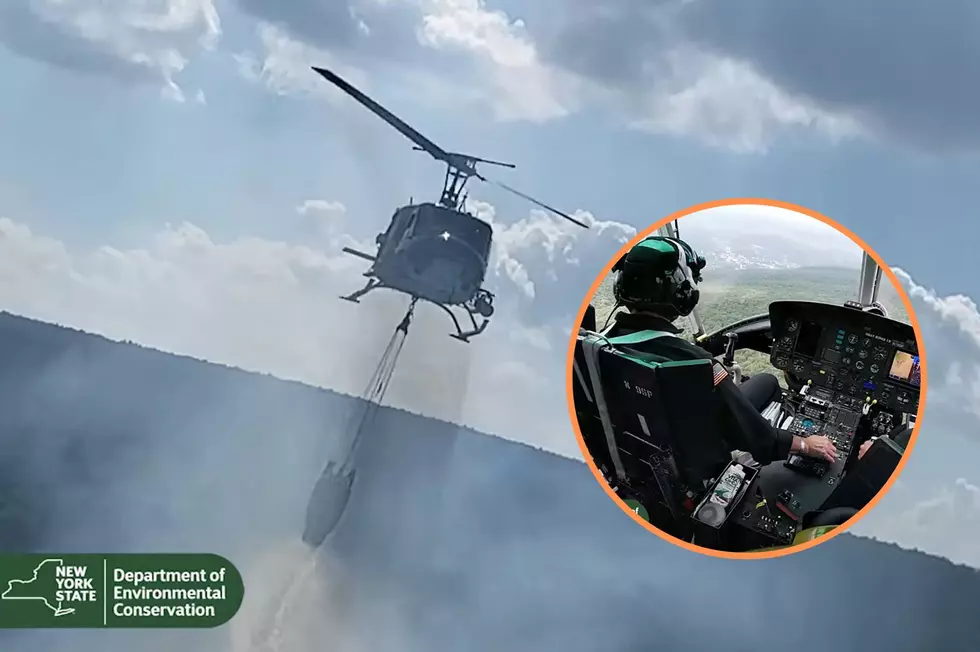 WATCH: See How New York Forest Rangers Fought The Napanoch Point Fire From The Skies
