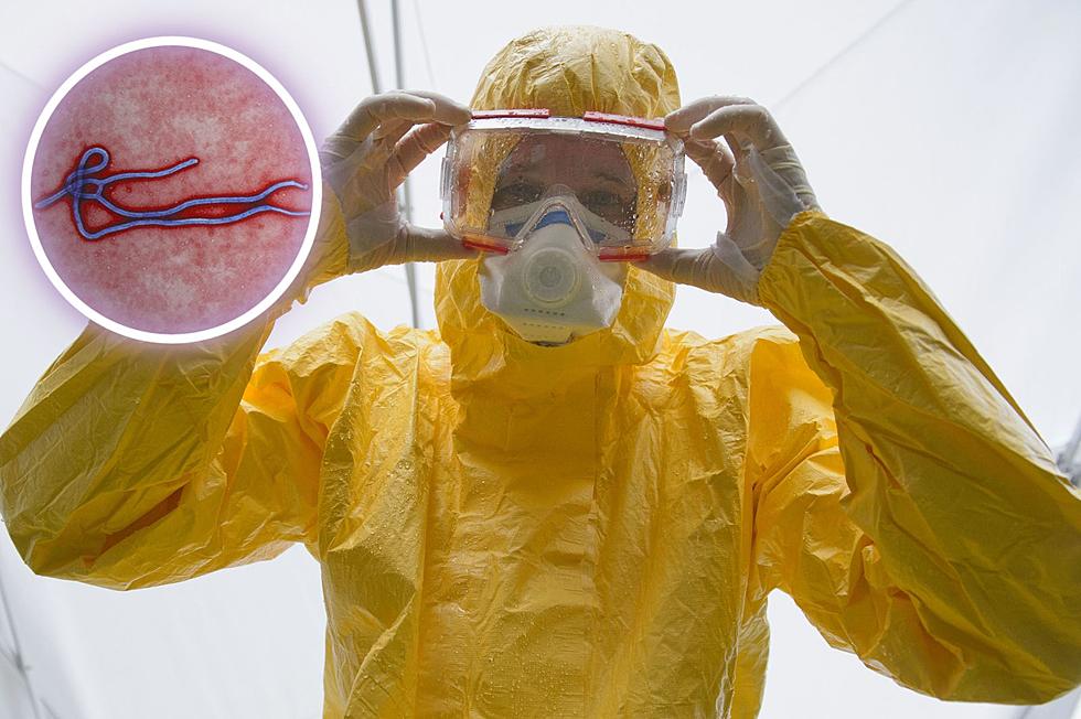 CDC Warns New Yorkers About Deadly Outbreaks of Ebola-Like Disease