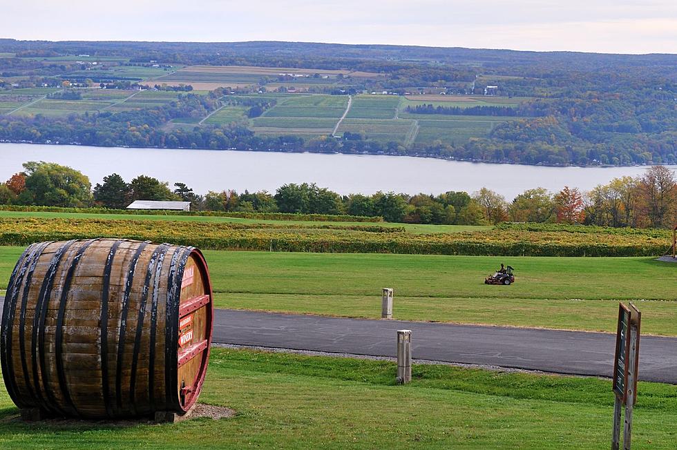 The Innovative Man Who Changed Finger Lakes Wine History