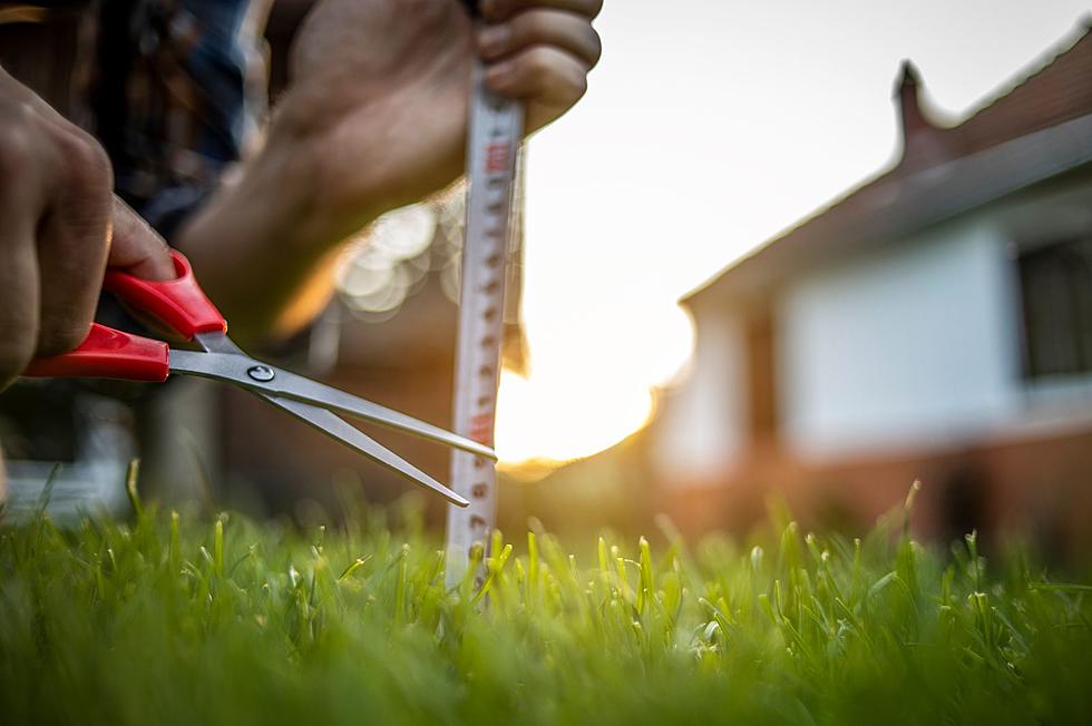 New York State Can Fine You for Neglecting Your Lawn