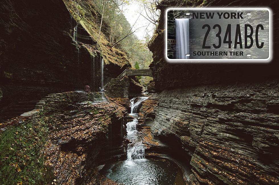New York’s Latest License Plate Features Watkins Glen Waterfall