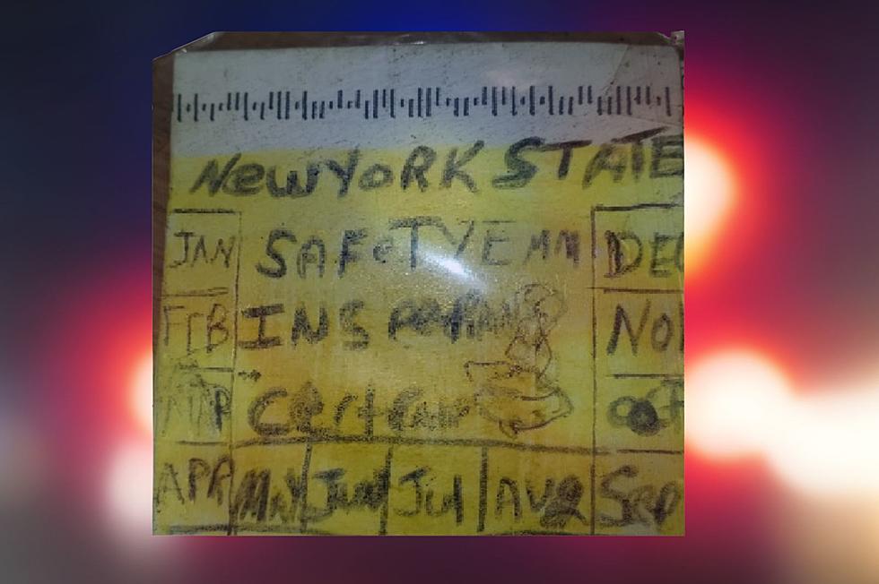 Union Woman Makes Own New York State Inspection Sticker, Arrested