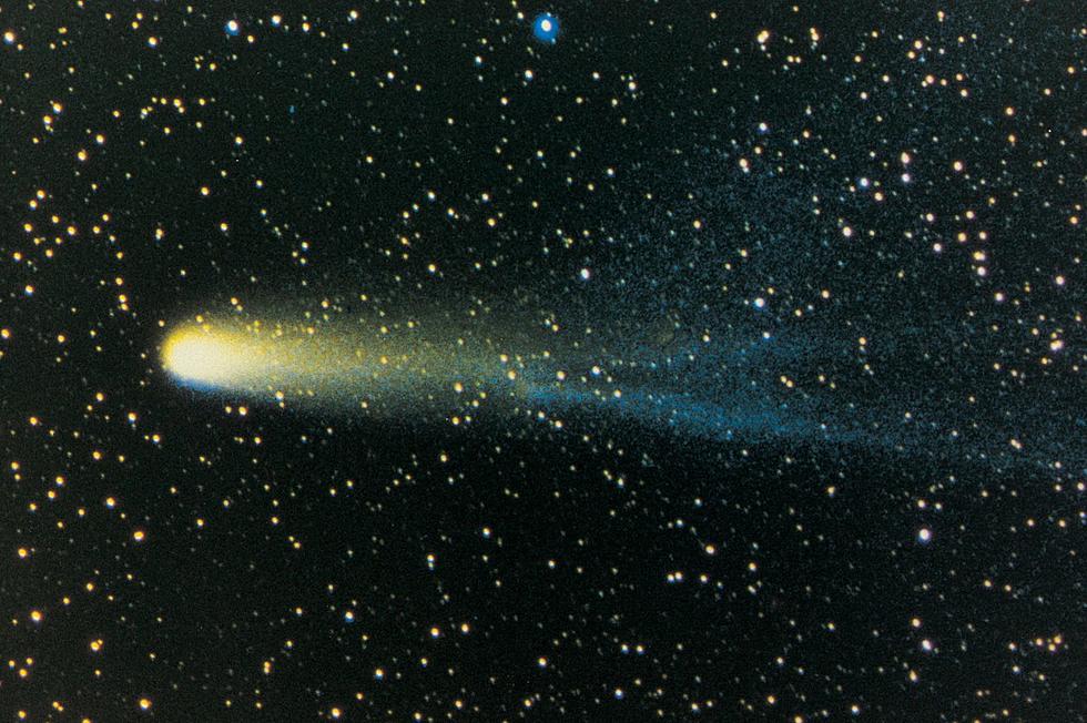 How New Yorkers Can See the Once in a Lifetime Nishimura Comet