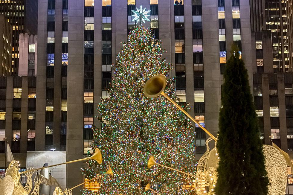 How New York’s Rockefeller Center Christmas Tree Is Selected
