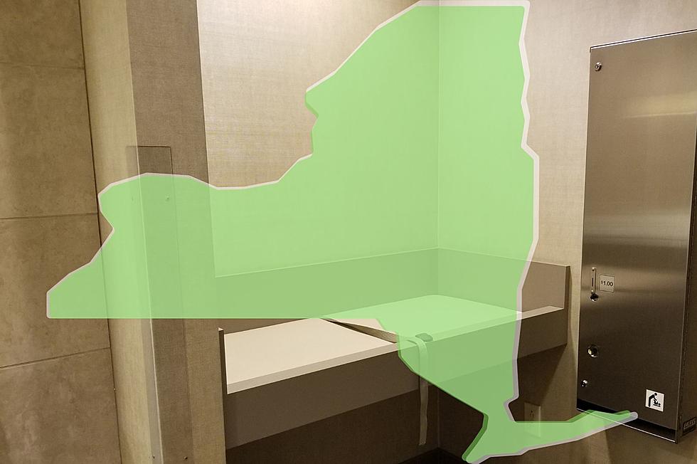 Public Spaces to Offer Adult Changing Tables in NYS?
