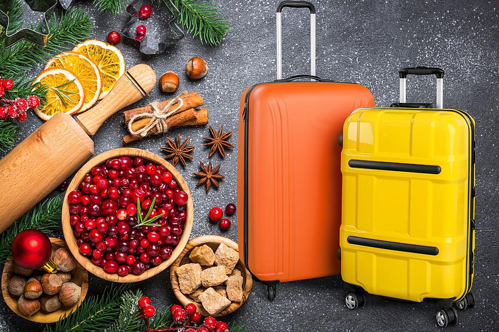 TSA Food Guidelines For New York Holiday Travelers