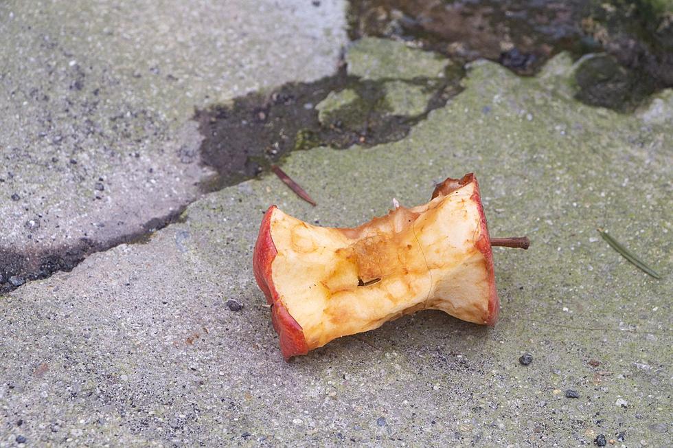 Does New York Have Laws Against Littering Fruit?