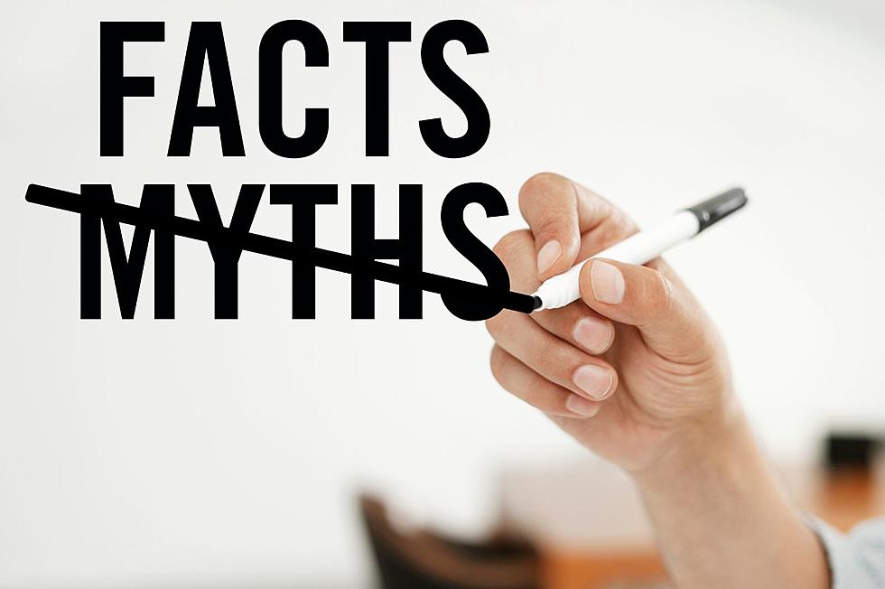 New Yorkers Fall for Popular Myths