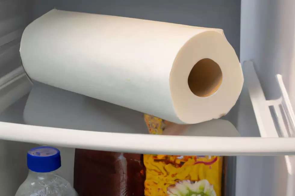 New Yorkers Should Consider Keeping Paper Towels in the Fridge