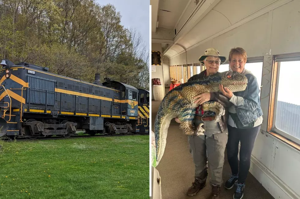 The Kids Will Love Upstate New York’s Dinosaur Express Train!