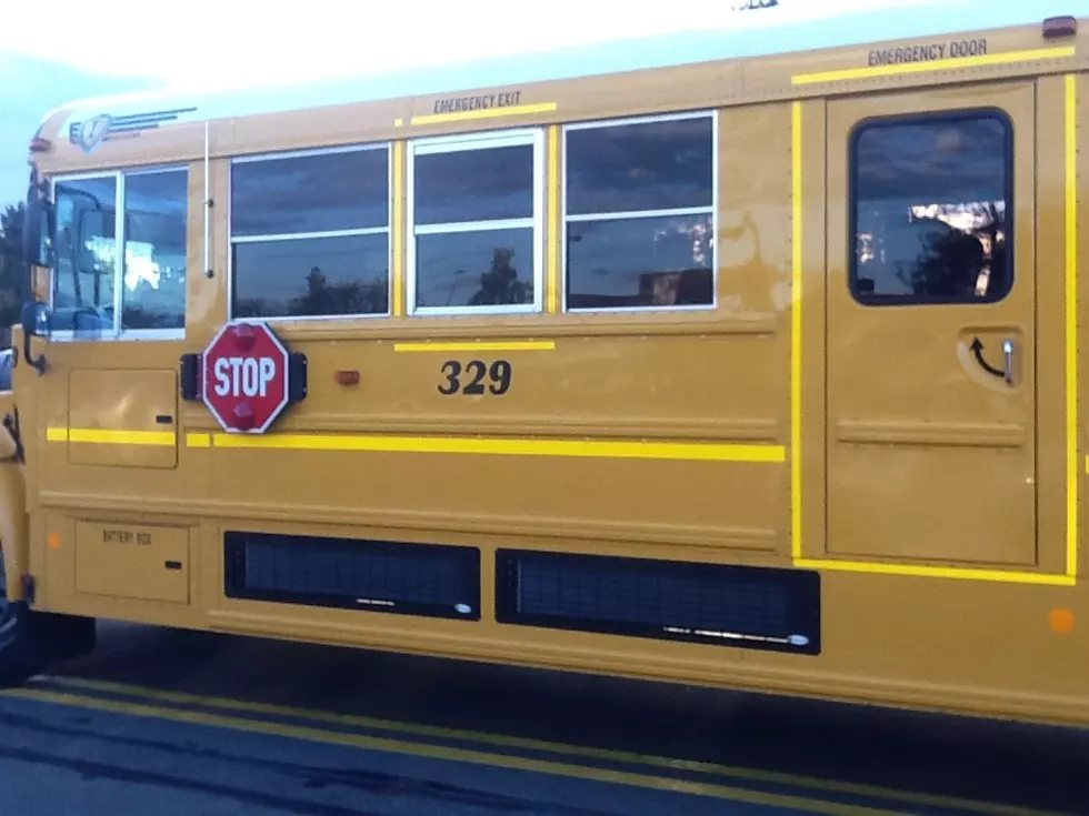Owego-Apalachin “Peaceful” School Buses
