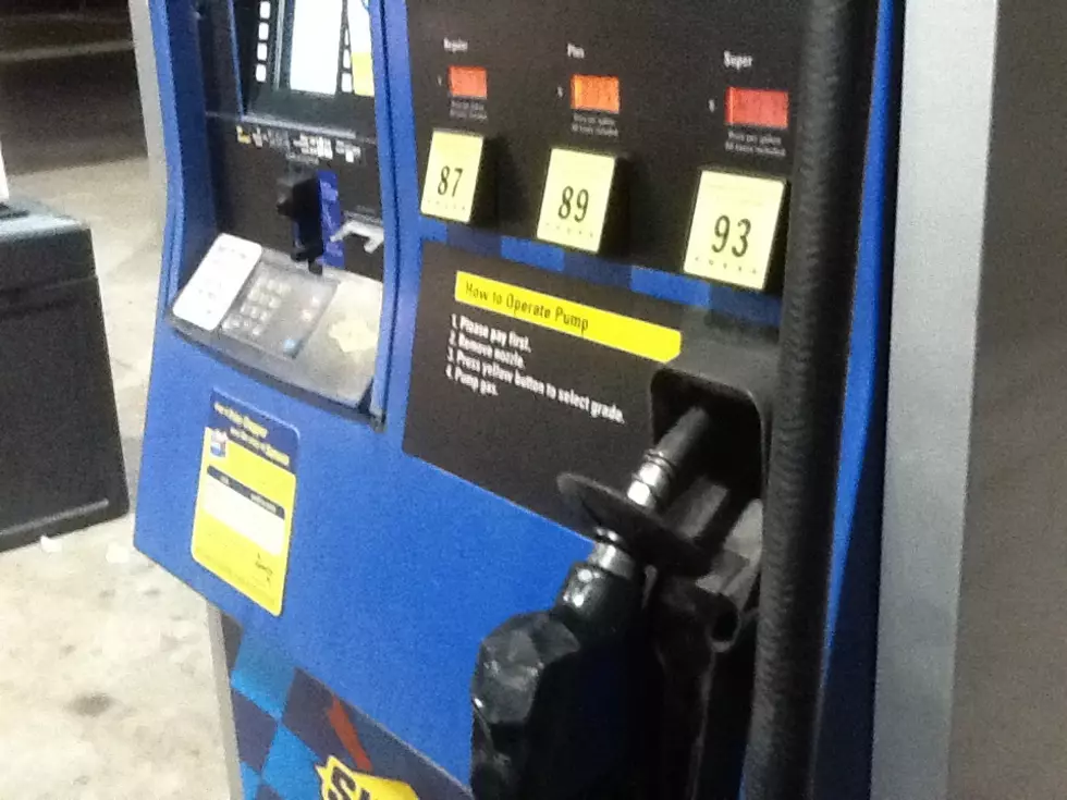 Video of a Live Snake Inside a Touch Screen of a Gas Pump