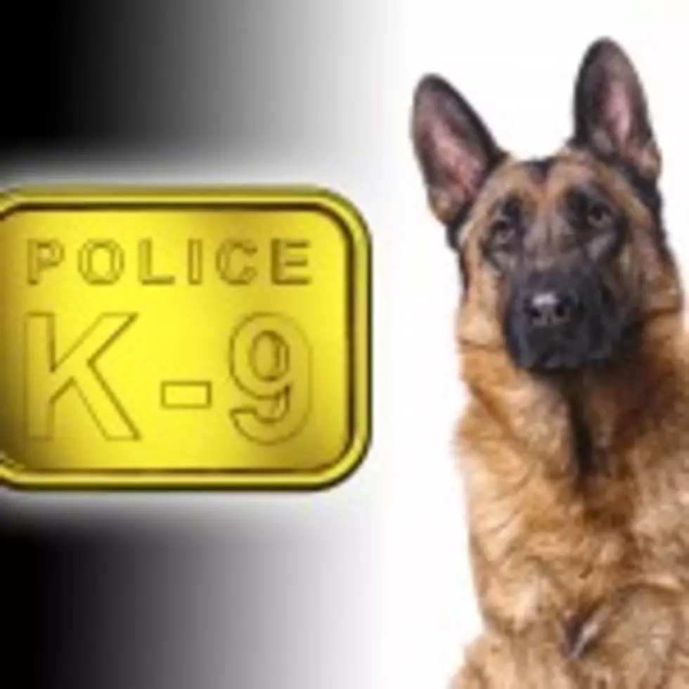 Cortland Police Dog Gets Bullet-Proof Vest