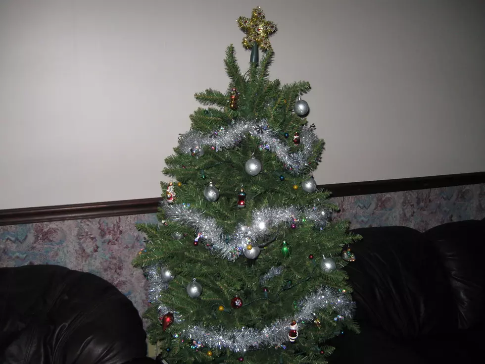 How To Get Rid Of Your Christmas Tree In Broome County