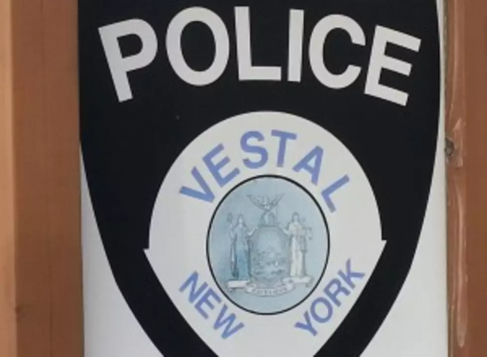 Vestal Man is Accused of Slashing Brother, Threatening Police Dog
