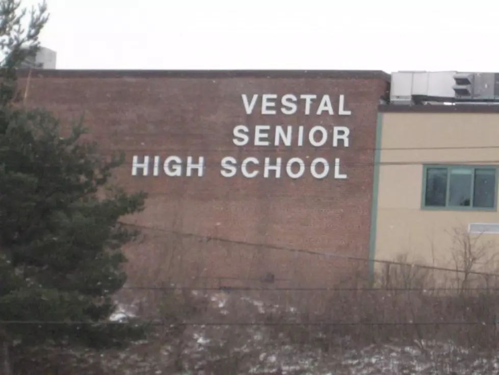 Vestal Art Students Receive High Honors