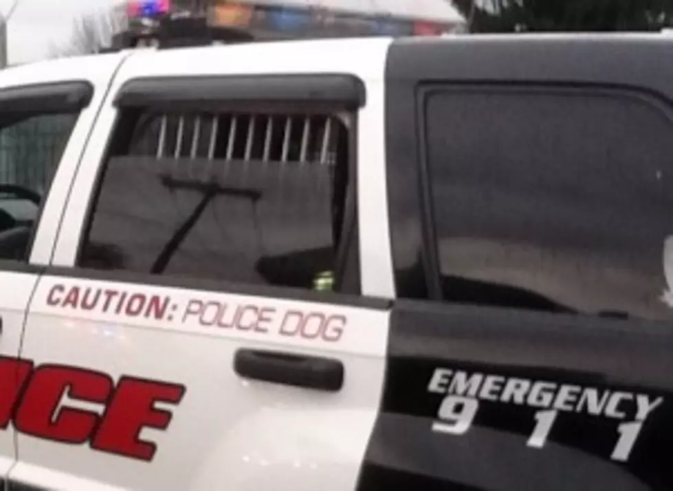 Johnson City Police Dog Receives Protective Gear