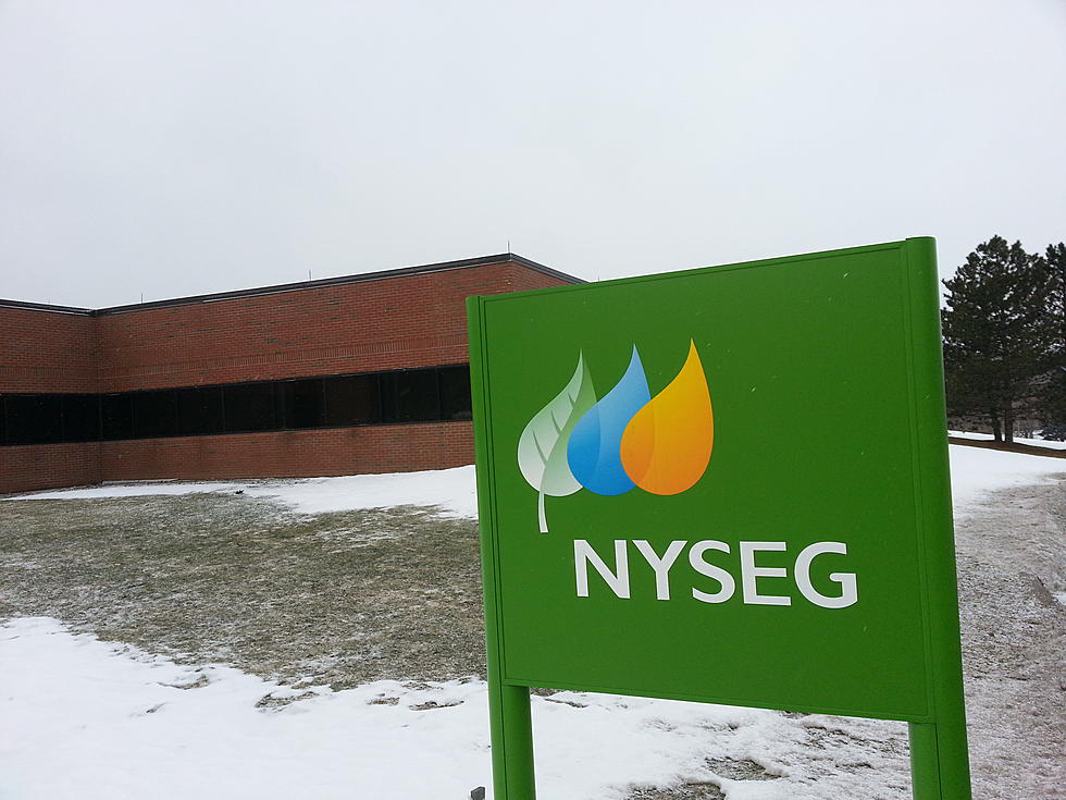 NYSEG Warns Power Outages May Last for Several Days