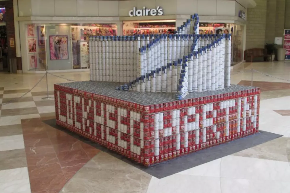Canstruction of the Southern TierHelps Fight Hunger