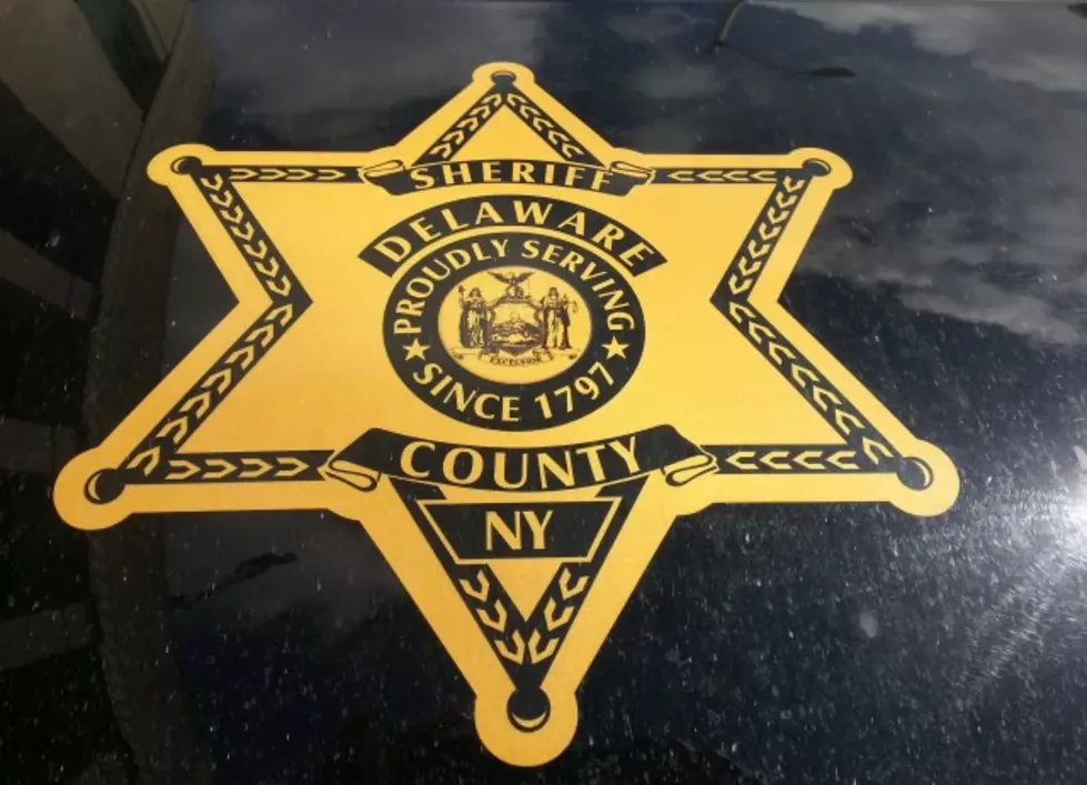 20 Stolen Campaign Signs Found in Delaware County Forest