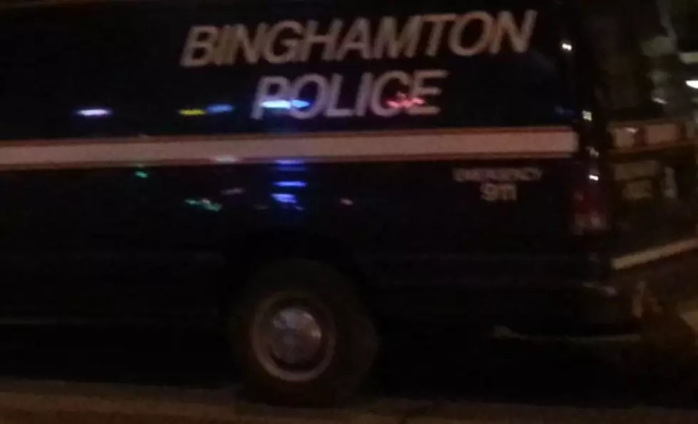 Binghamton Police Busy With Fire at Rec. Park and Vandalism