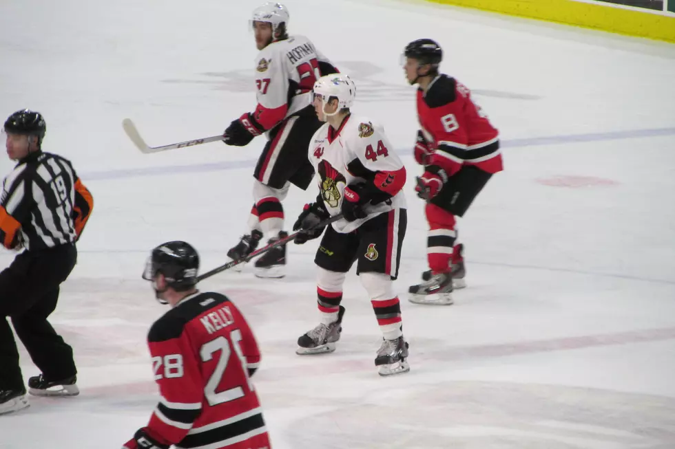 Binghamton Senators Compete in AHL East Again This Season