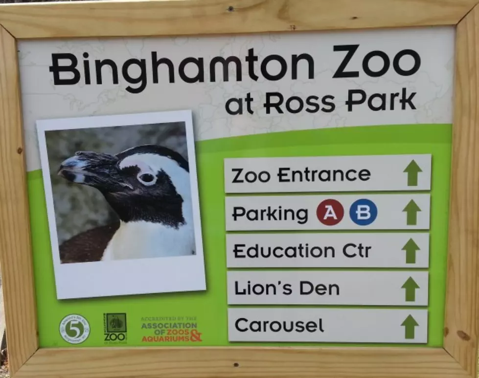 Ross Park Zoo Gears Up for Some Fun Events