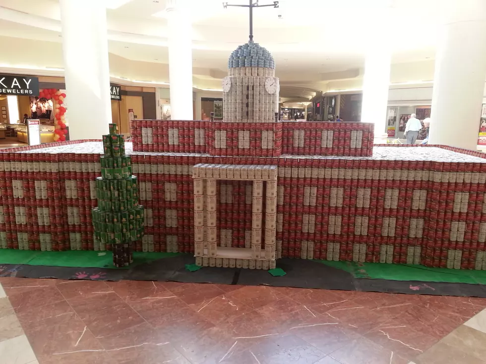 Canstruction Comes to the Oakdale Mall