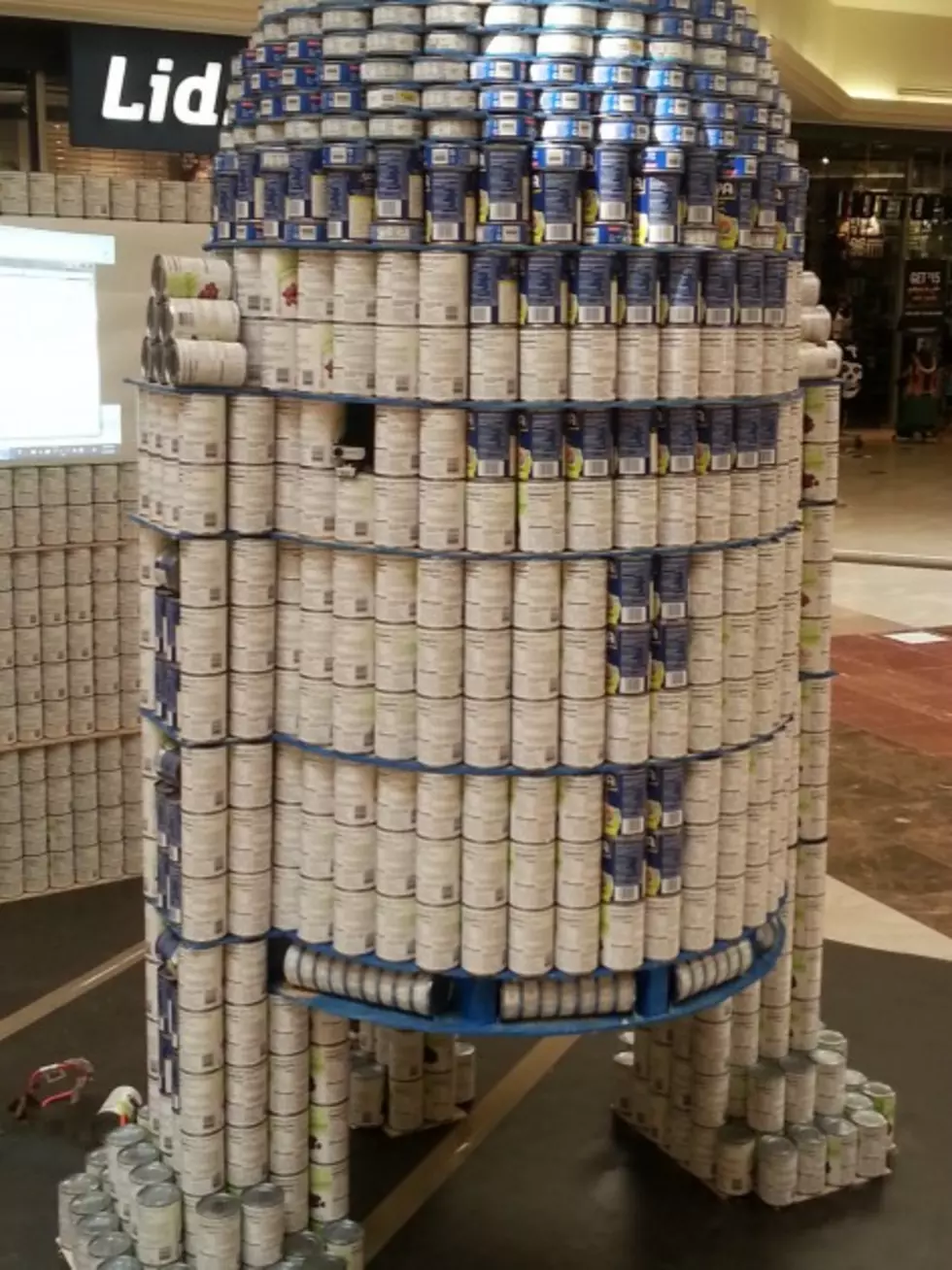 Canstruction of the Southern Tier on Display at Oakdale Mall