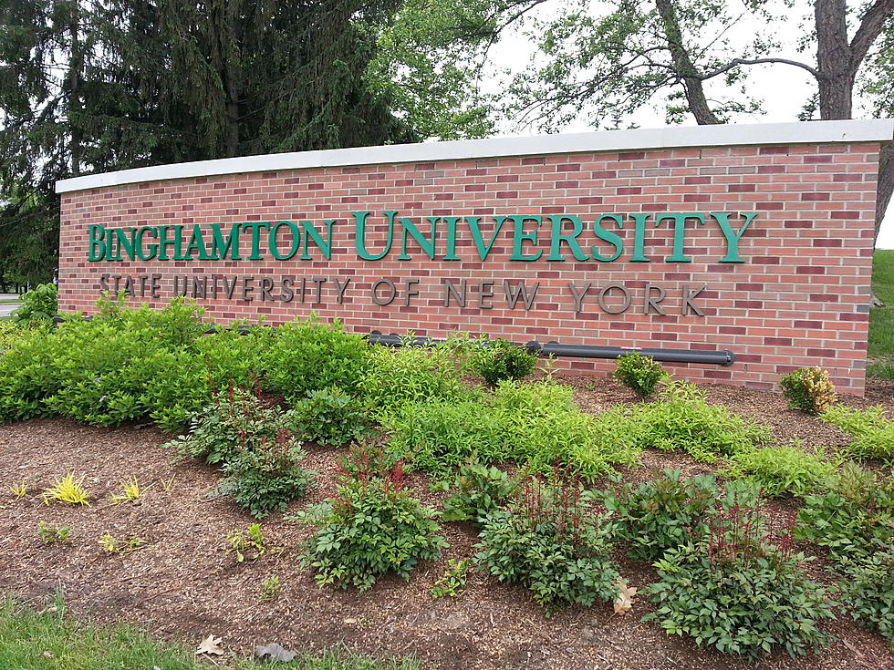 Binghamton University Preparing to Provide Courses Online