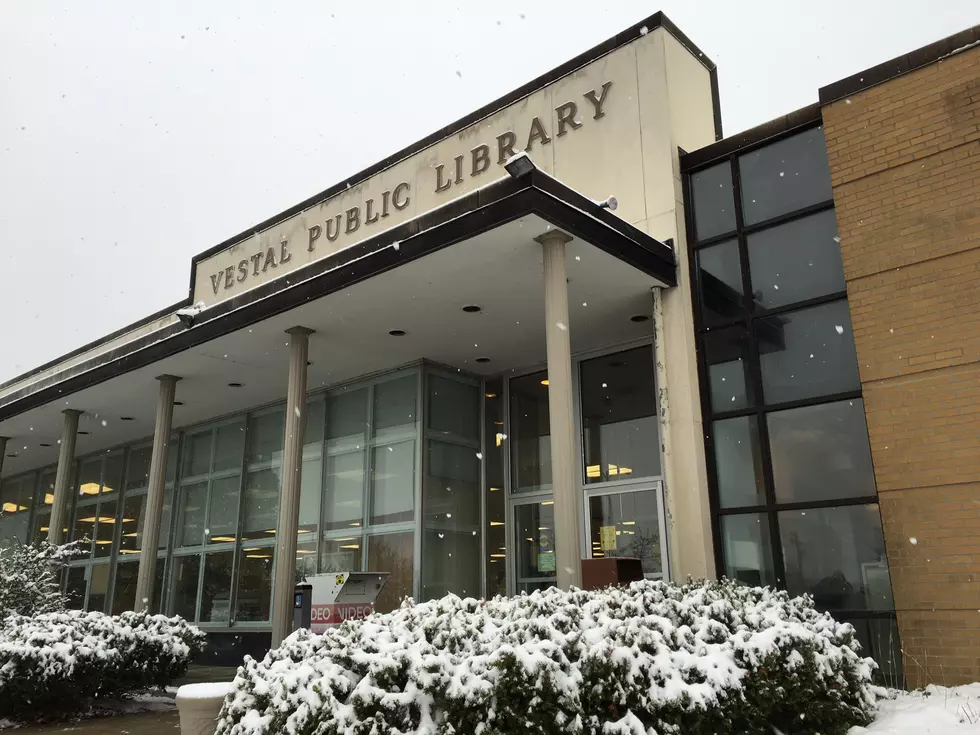 Vestal Library Tax District Approved