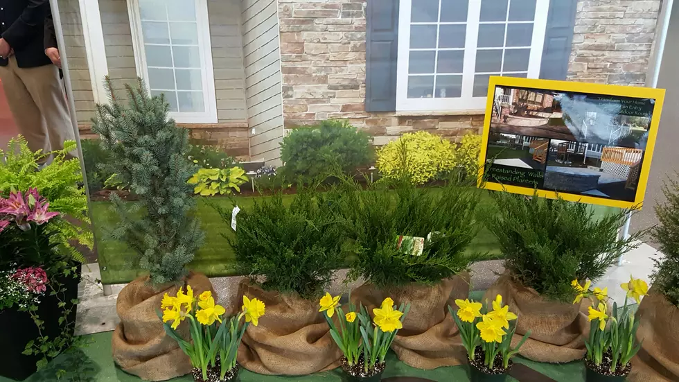Home Show Sure Sign of Spring