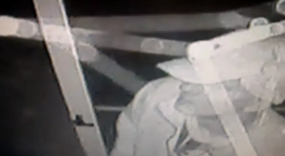 Police Release Video in Broome Burglary Investigation
