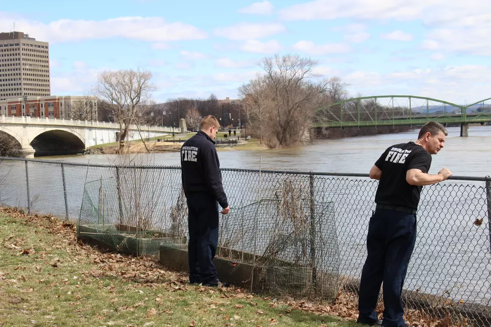 Searchers Look for Woman in Susquehanna River