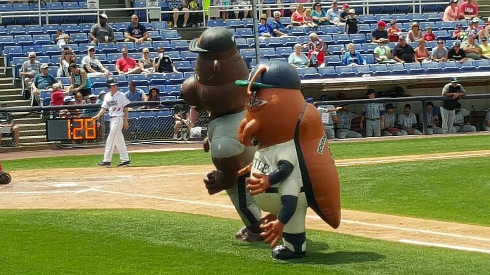 ZOOperstars Steal the Show