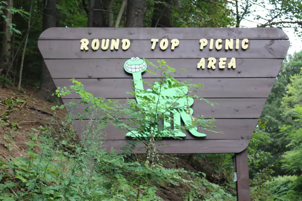 Missing: Most Important Feature of Round Top Park