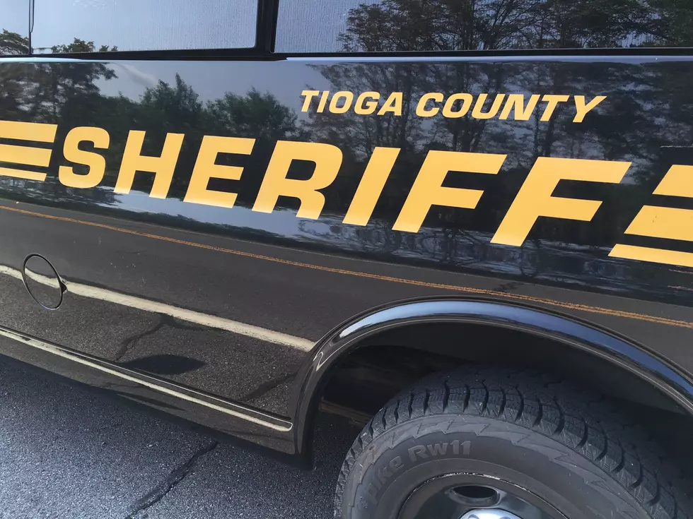 Tioga County Sheriff’s Look For Man on Trail Cam Burglarizing Cabins