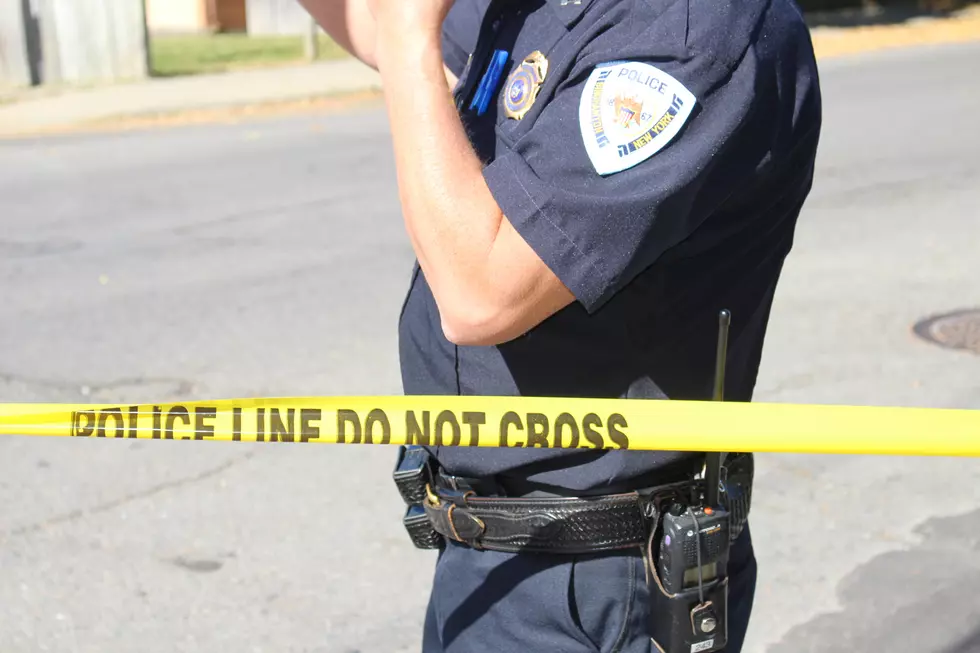 Binghamton Final Draft on Police Reform