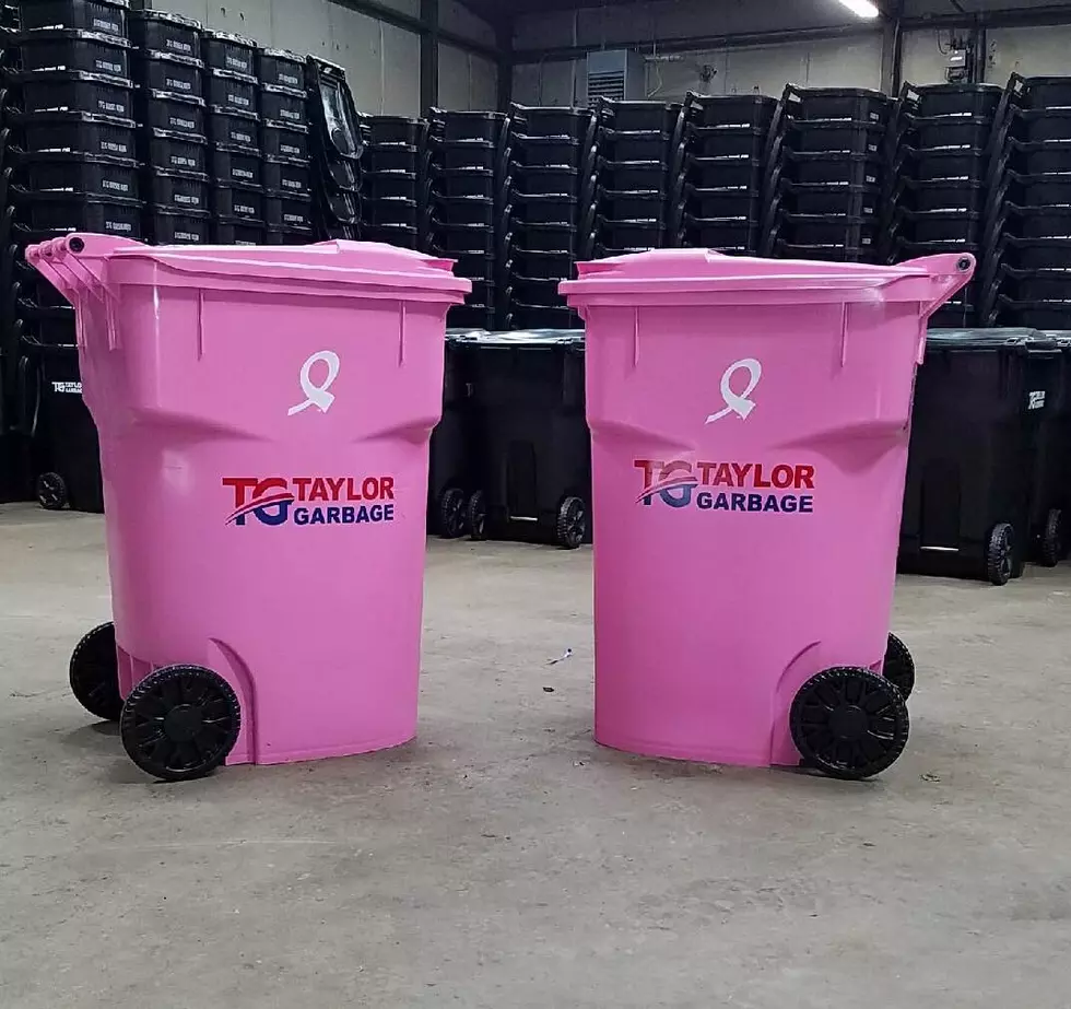 Pink Garbage Cans Deployed to Benefit Traci’s Hope