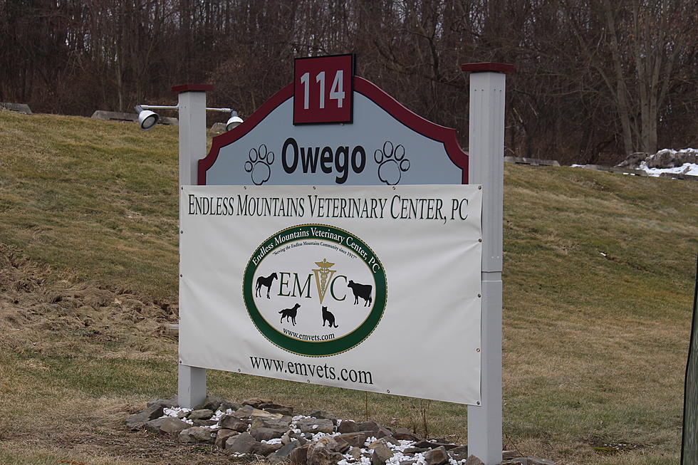 Owego Veterinary Hospital Acquired by Pennsylvania Firm