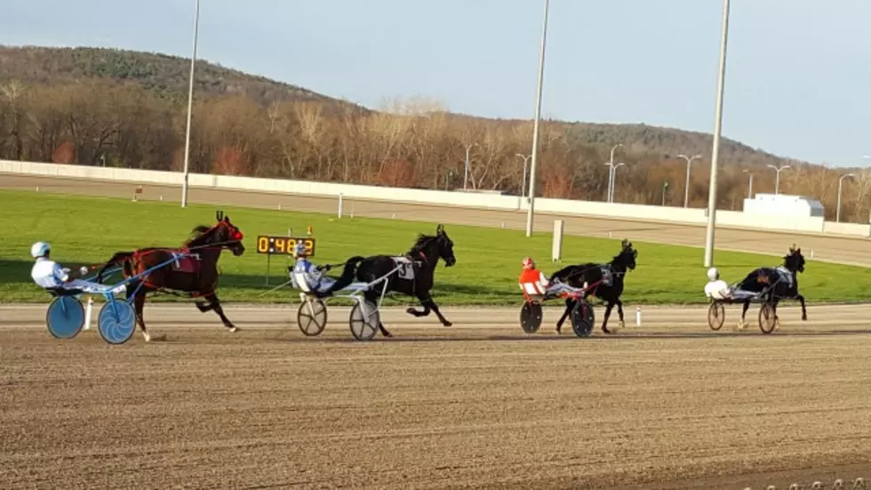 Harness Racing Could Resume at Tioga Downs Soon