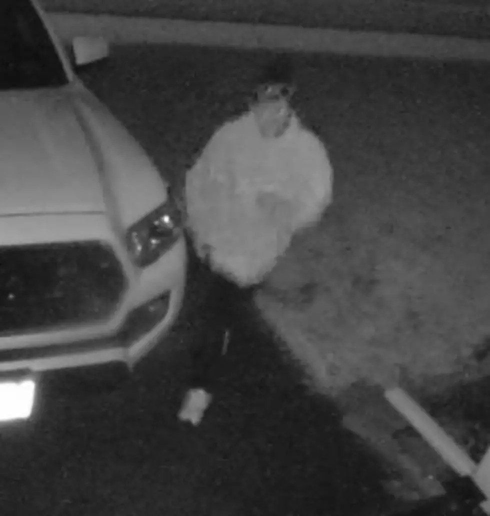 Endwell Car Thief Suspect Sought