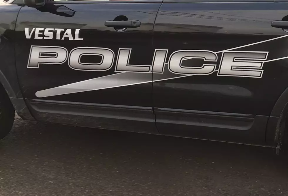 Johnson City Man Charged in Vestal Business Burglary