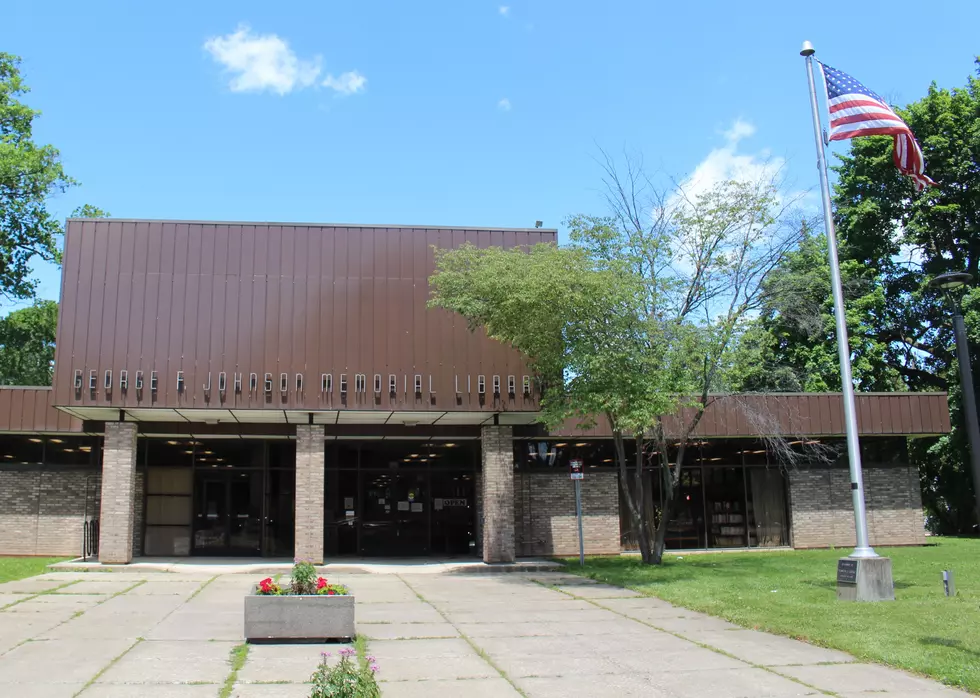 Endicott and Johnson City Libraries Seek Funding Increases