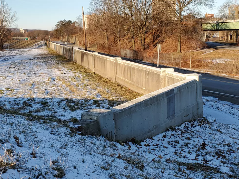 Binghamton Launches Certification Project for Floodwalls