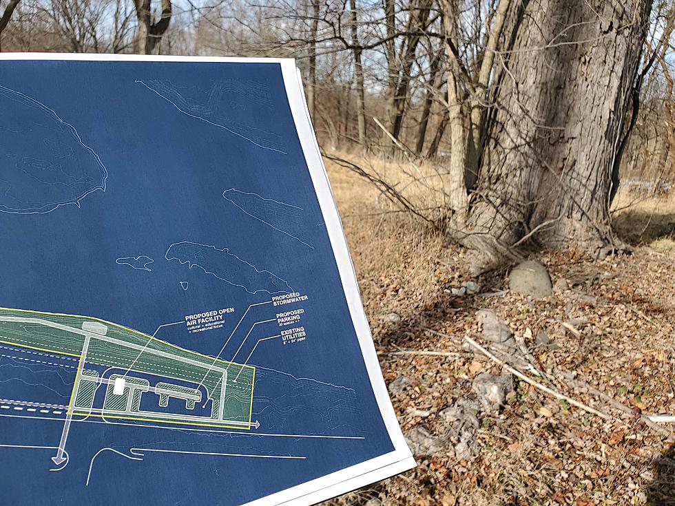 Green Space Proposed for Rivercrest Site on Vestal Parkway