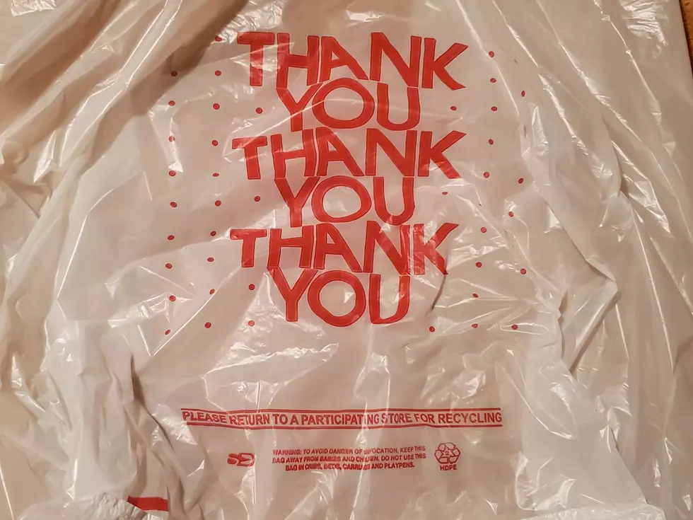 NYS Delays Plastic Bag Ban Enforcement Amid Coronovirus Fears