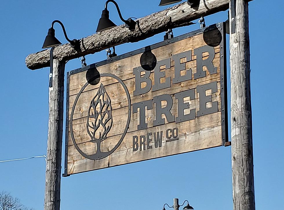 Beer Tree Brew Co. to Expand to Binghamton